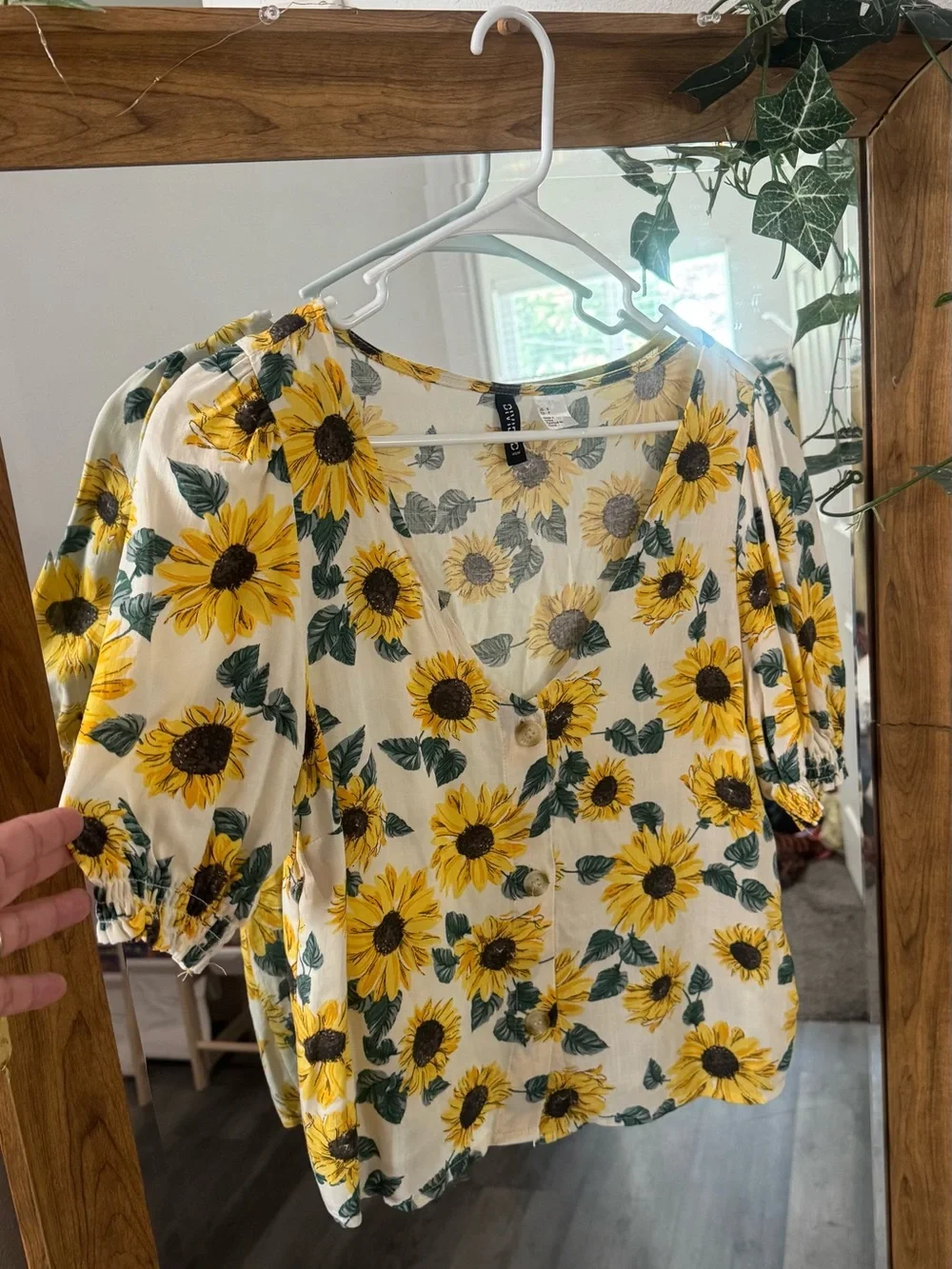 Divided cutie sunflower